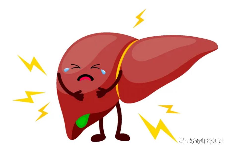 打包剩菜需要注意什么？肝脏有再生能力？最简单省心的打扫方法