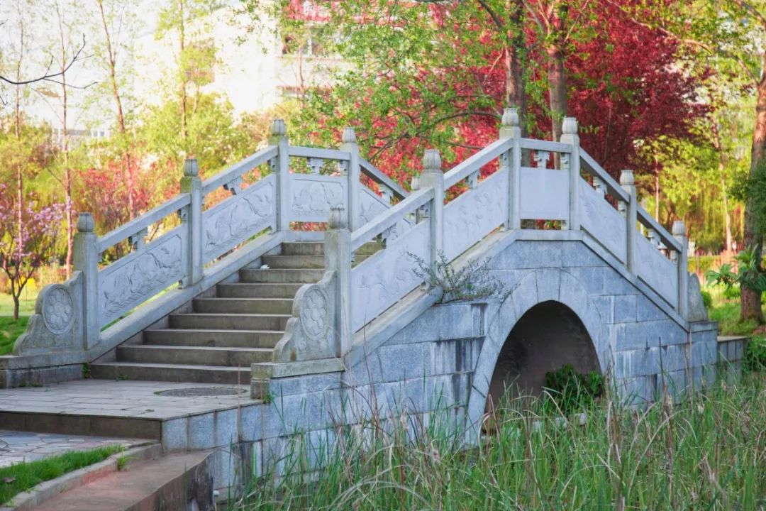 江西中医药大学和广东医科大学,江西中医药大学在国内名气大吗