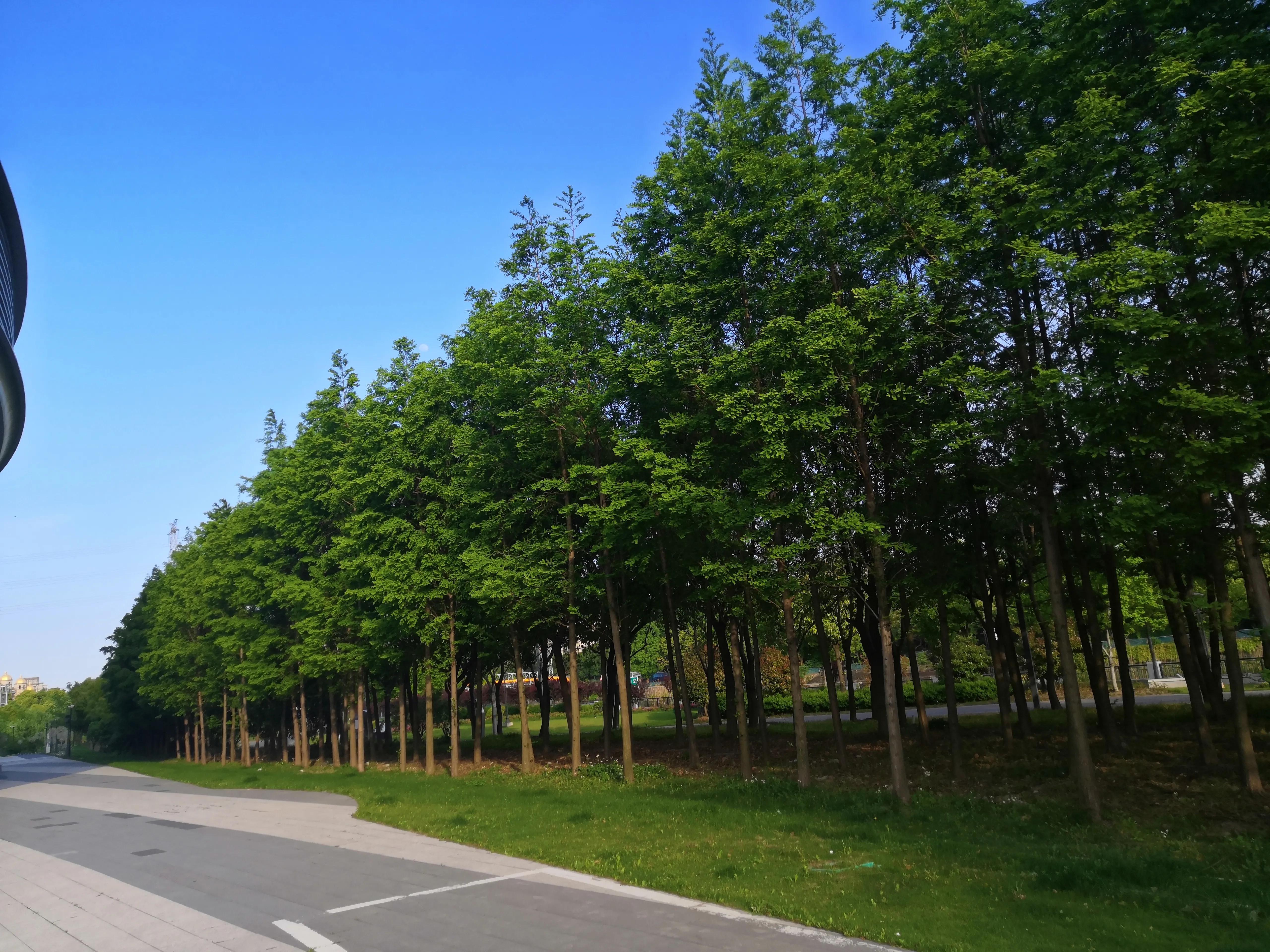 微信里面你找一下自己有多少个群,我们都有多少个微信群