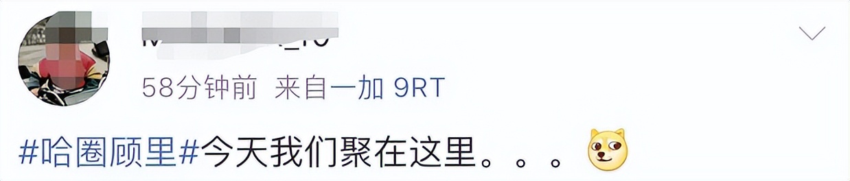 生日当天撕上热搜，哈圈顾里说的是他没错吧