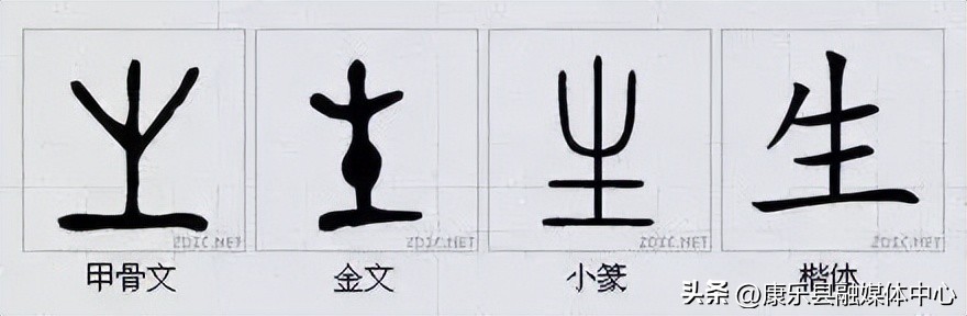 水平极高的演讲非常震撼cc讲坛,周海宏极高水平演讲