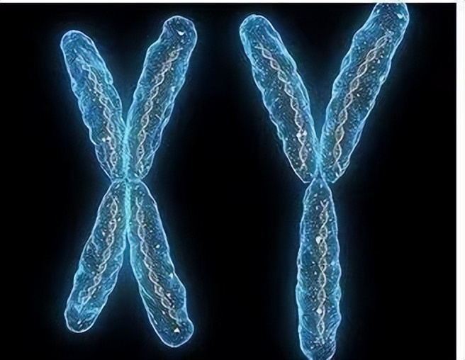 27岁美国男子意外生下一个小孩,世界首例男子成功怀孕