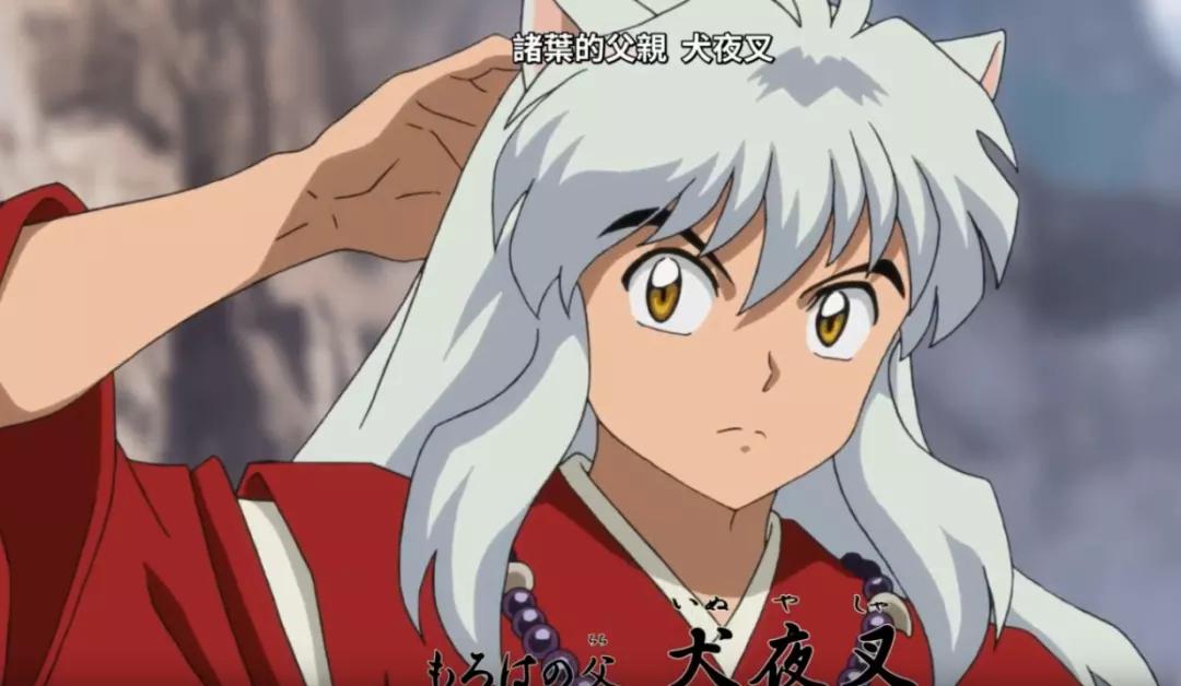 夜叉姬：杀生丸麒麟丸大决战受重伤！犬薇和诸叶抱头痛哭