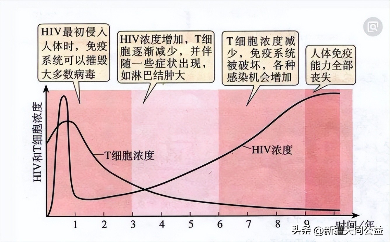 hiv感染者后早期发现能治疗吗,感染hiv病毒能治好吗