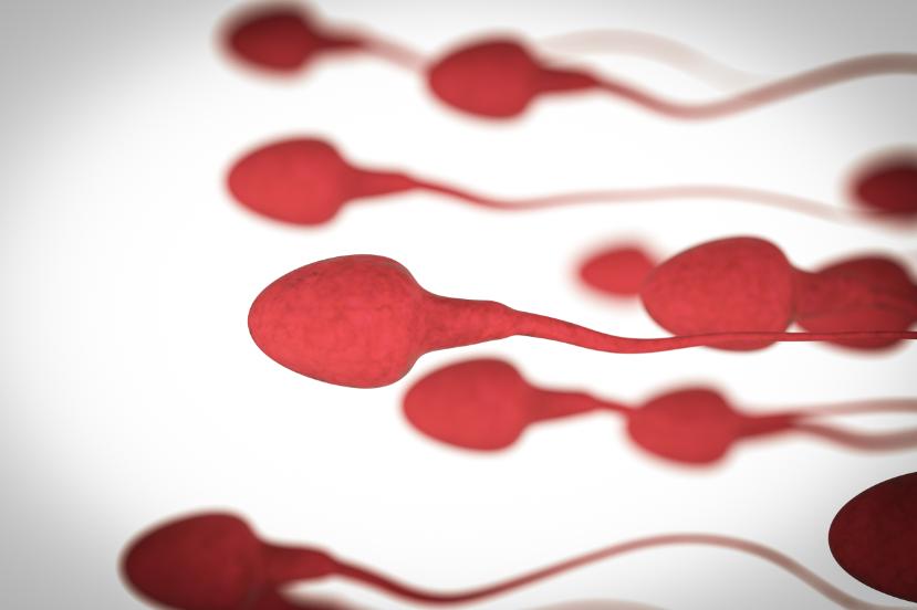 六大杀妻案真实故事,历史上的六大杀神是谁