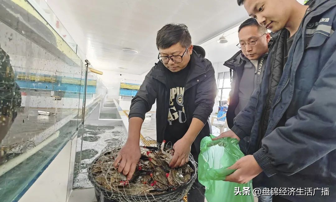 新发地农产品批发市场卖水产吗,北京新发地农产品批发市场鱼类