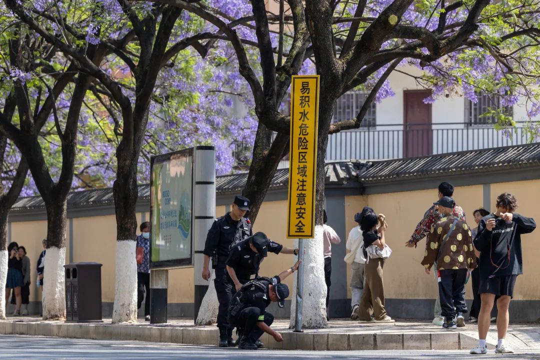 芸儿美美美美美,美美美美美美美英文