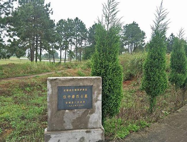 红军牺牲的四大名将,盘点红军时期牺牲的十大猛将