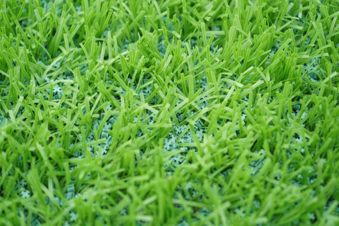 嘉兴苏超足球体育馆,嘉兴苏超