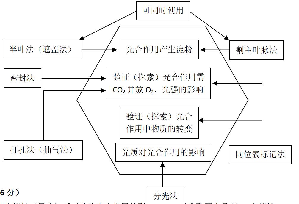 高中生物细胞代谢产生什么物质,高中生物细胞代谢视频