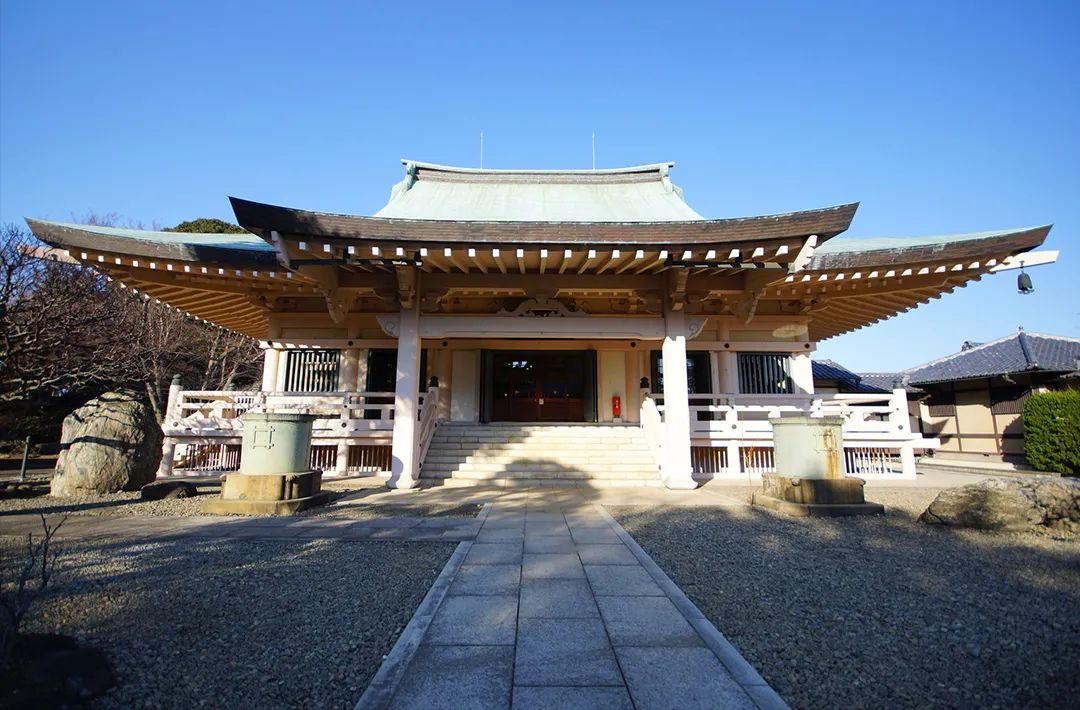 为什么有招财猫却没有招财狗鱼,为什么只有流浪猫没有流浪狗