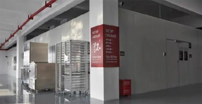 中国巧克力林雨,可可狐巧克力创始人林雨