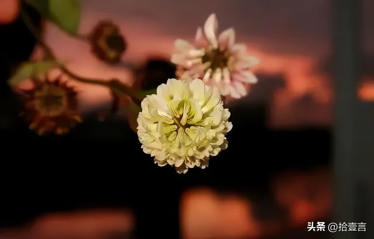 被人算计后，最聪明的做法，不是打击报复，而是这么做