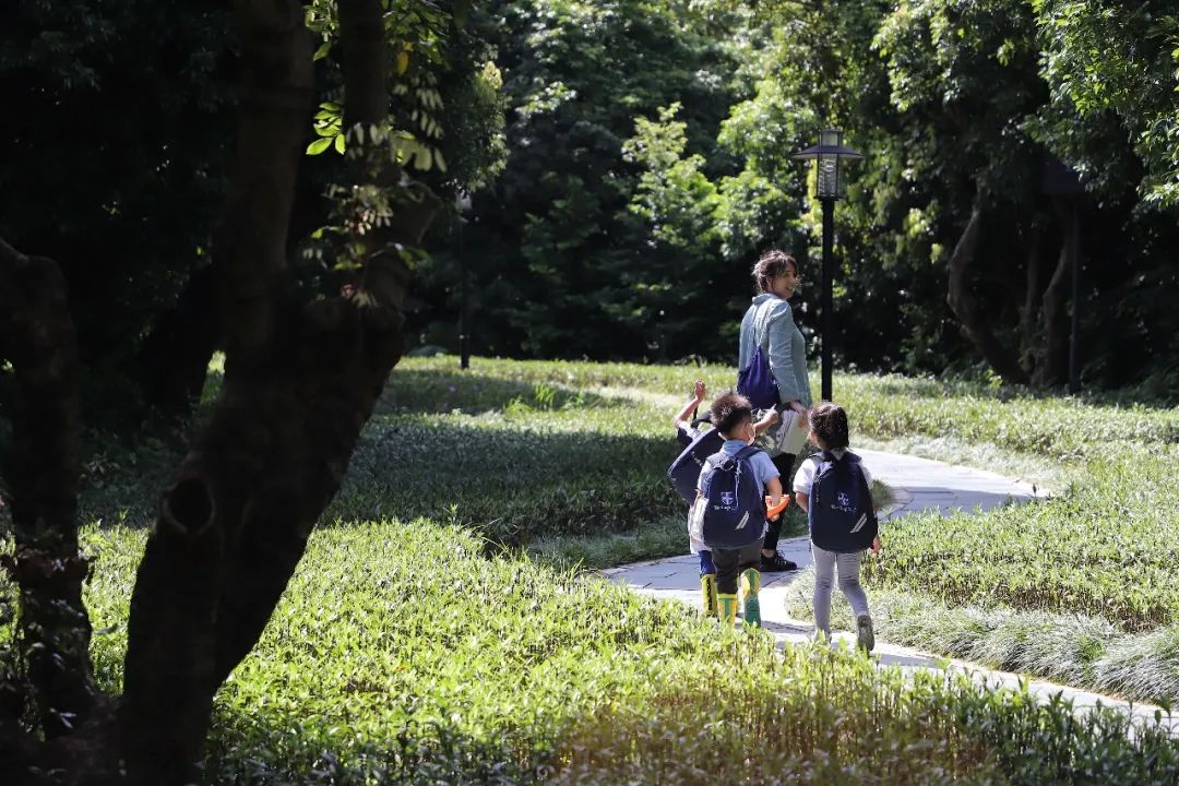 中国首家无边界森林幼儿园,深圳幼儿园景观