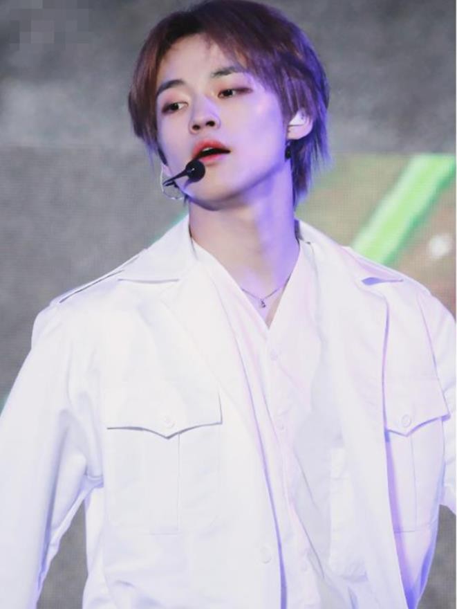 参加韩国sm海外练习生选秀,金色大厅维也纳成员