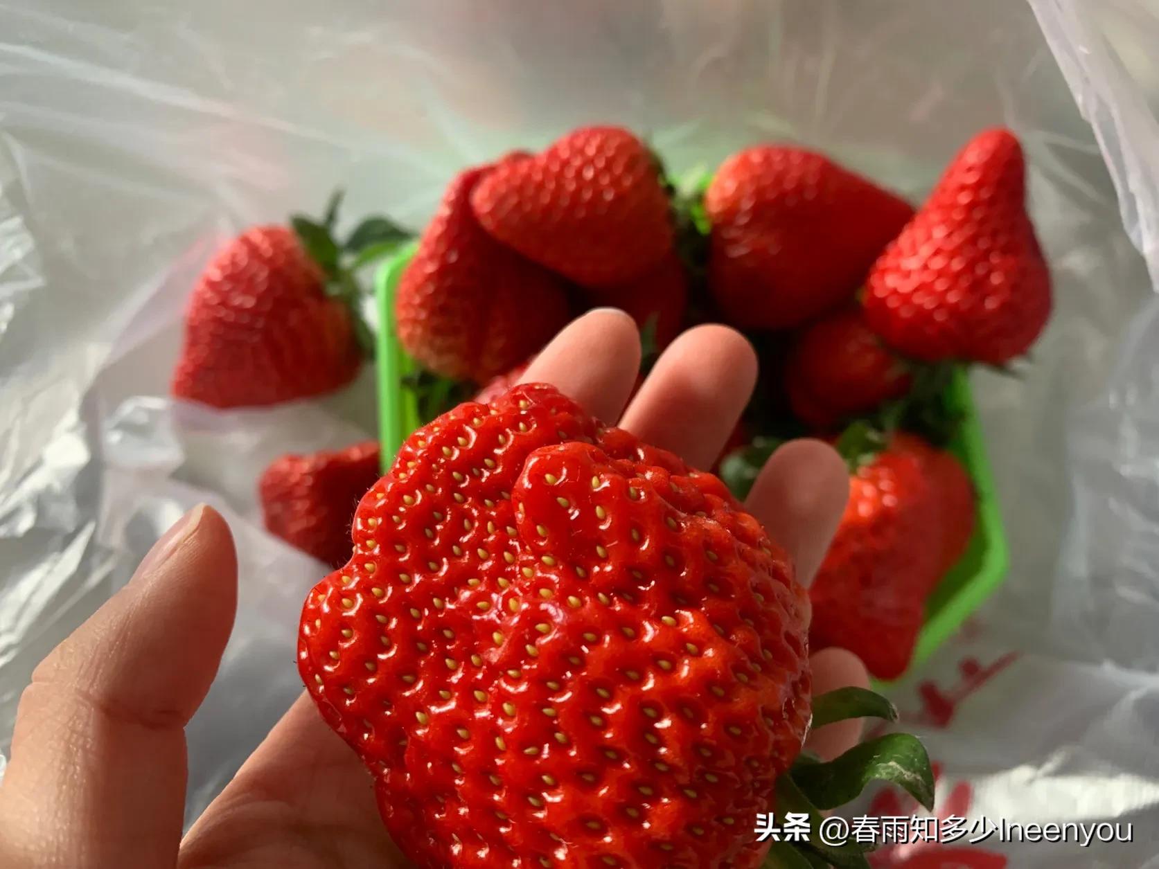 生活本就是不停的奔波,元旦将至忙忙碌碌