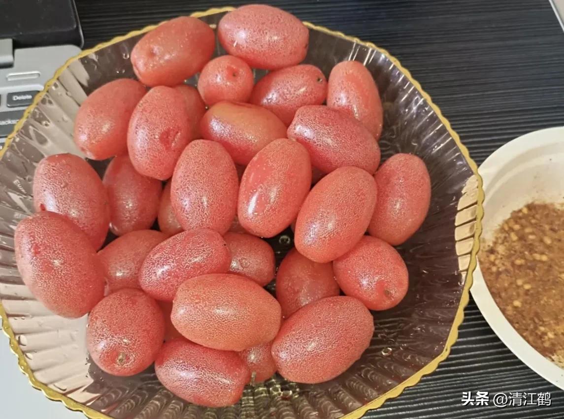 从未见过的稀奇物种,很多人没见过的奇怪生物