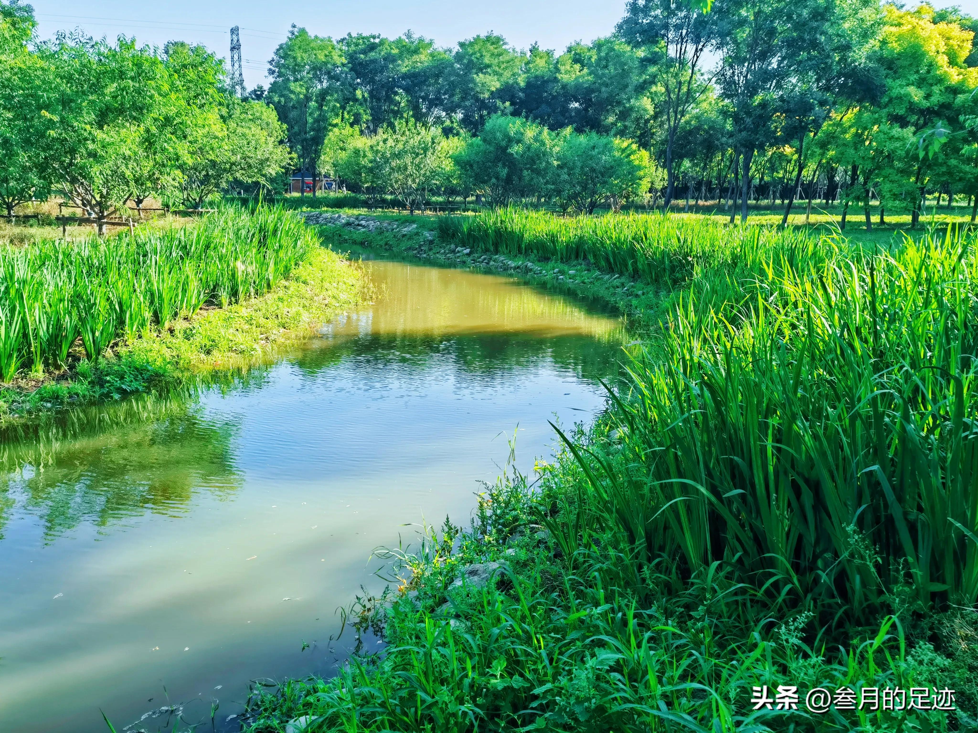 北京有哪些免费的大型公园,北京有铁道的公园