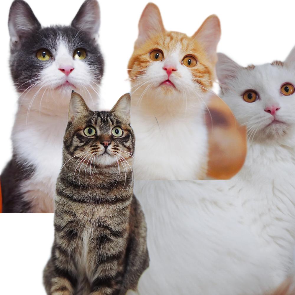 年轻人除了上班还可以做什么赚钱,长期不上班有很多方式可以赚钱