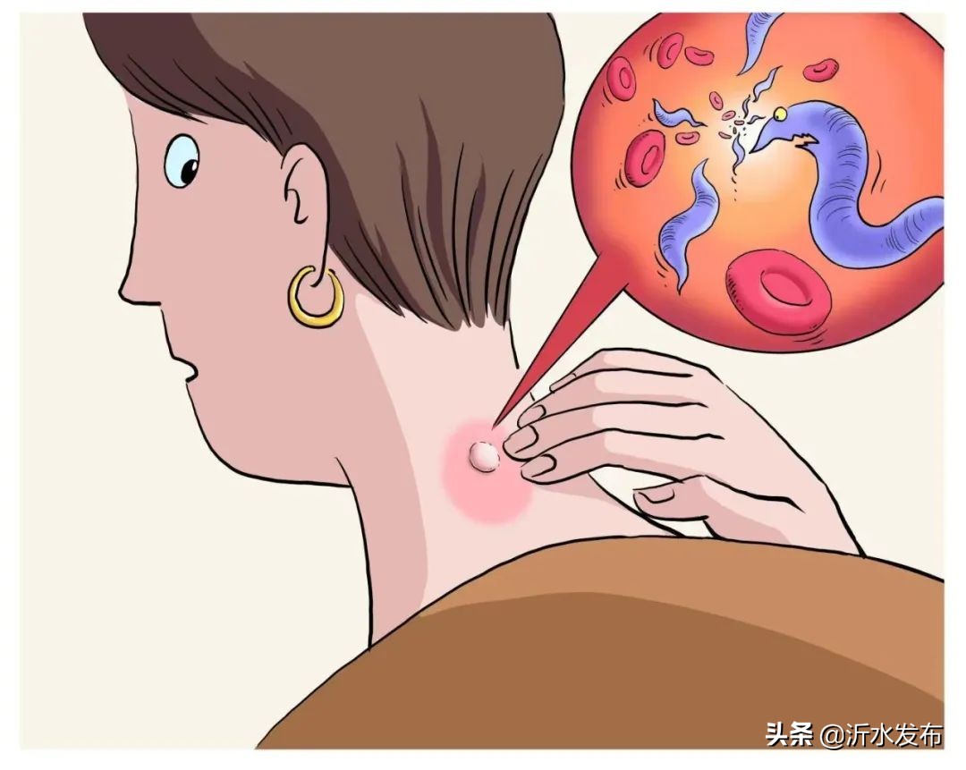 传染病大多是怎么传染,传染病怎么通过血液传播