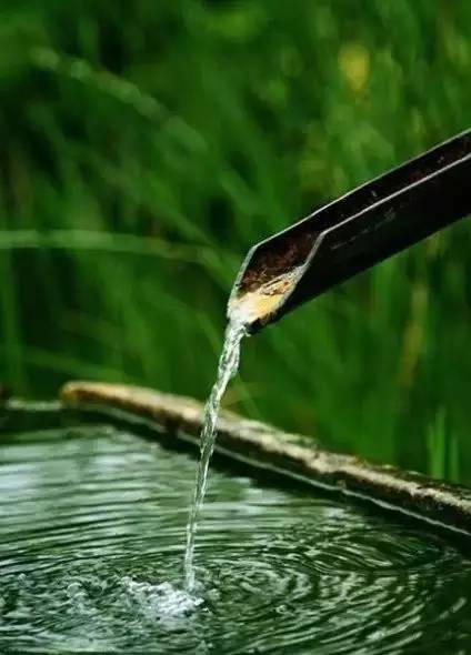 师徒情作文,师徒情深感人的文章