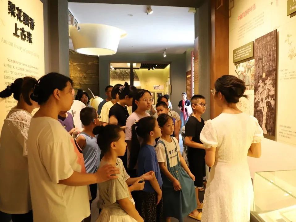 一场独属于我们的夏日美好回忆|2023魏州大剧院首届八喜打开艺术之门演出季完美收官!