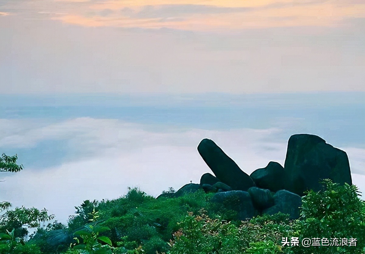 广西一个县，被誉为“中国香蕉之乡”，网友：可以去看看