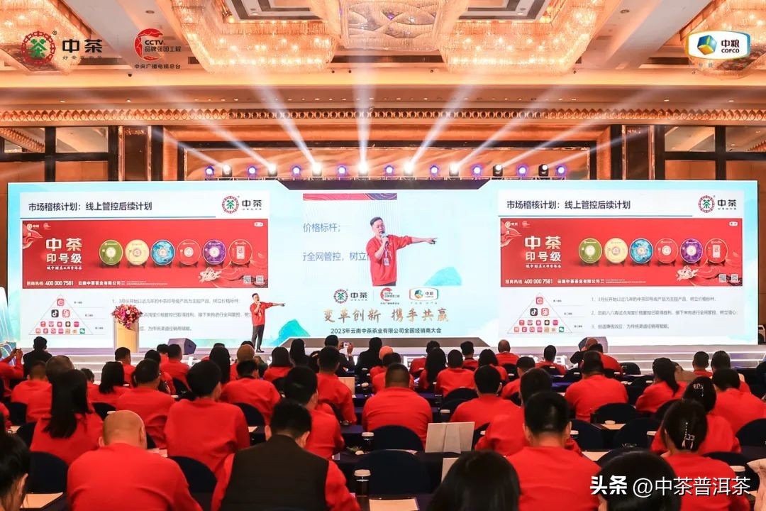 中茶普洱茶经销商信息大会,中茶2024年经销商大会
