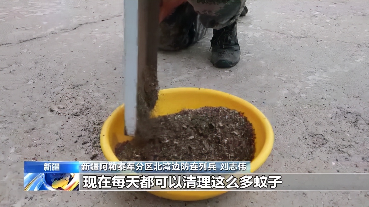 中国最危险边境排名,中国最危险的边境军犬