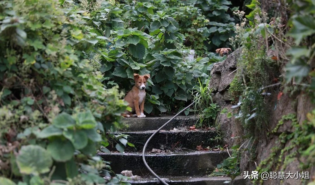 舟山群岛以前和大陆连着吗 (舟山群岛共有多少小岛)