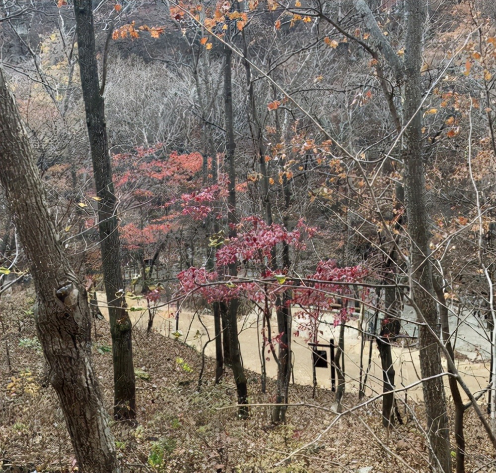 安全出行米其林轮胎,安全舒适轮胎