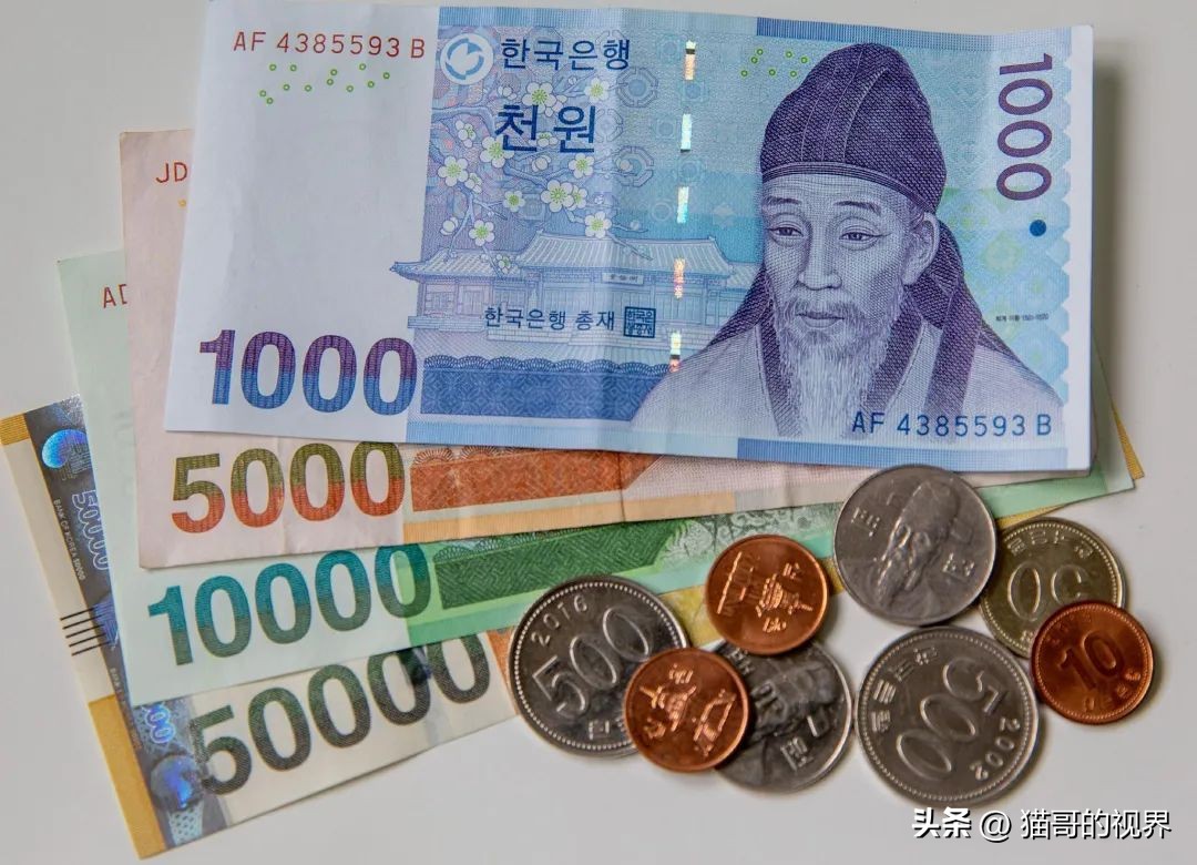 韩国走向旷野,韩国走向深渊