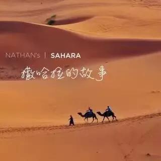 三毛小说撒哈拉的故事,三毛撒哈拉的故事经典语录