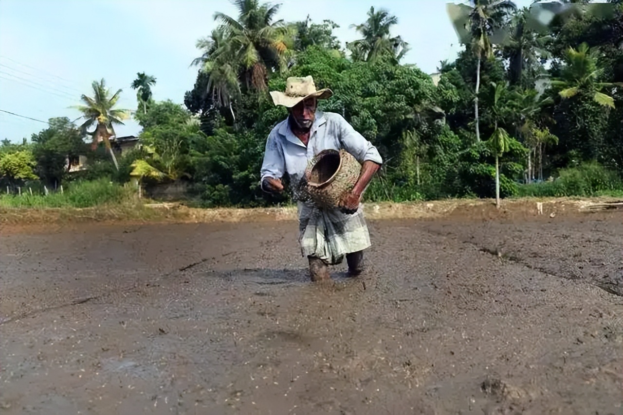 斯里兰卡外汇耗尽原因,斯里兰卡外汇危机怎么样了