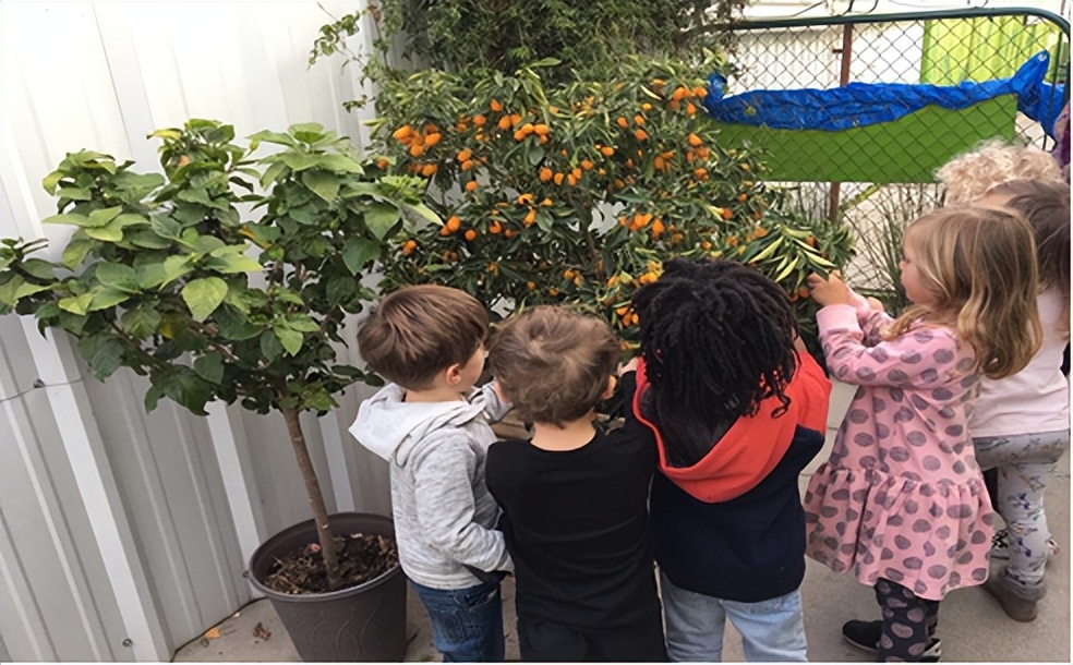 美国洛杉矶带孩子旅游攻略,幼儿园环球之旅之美国环境篇