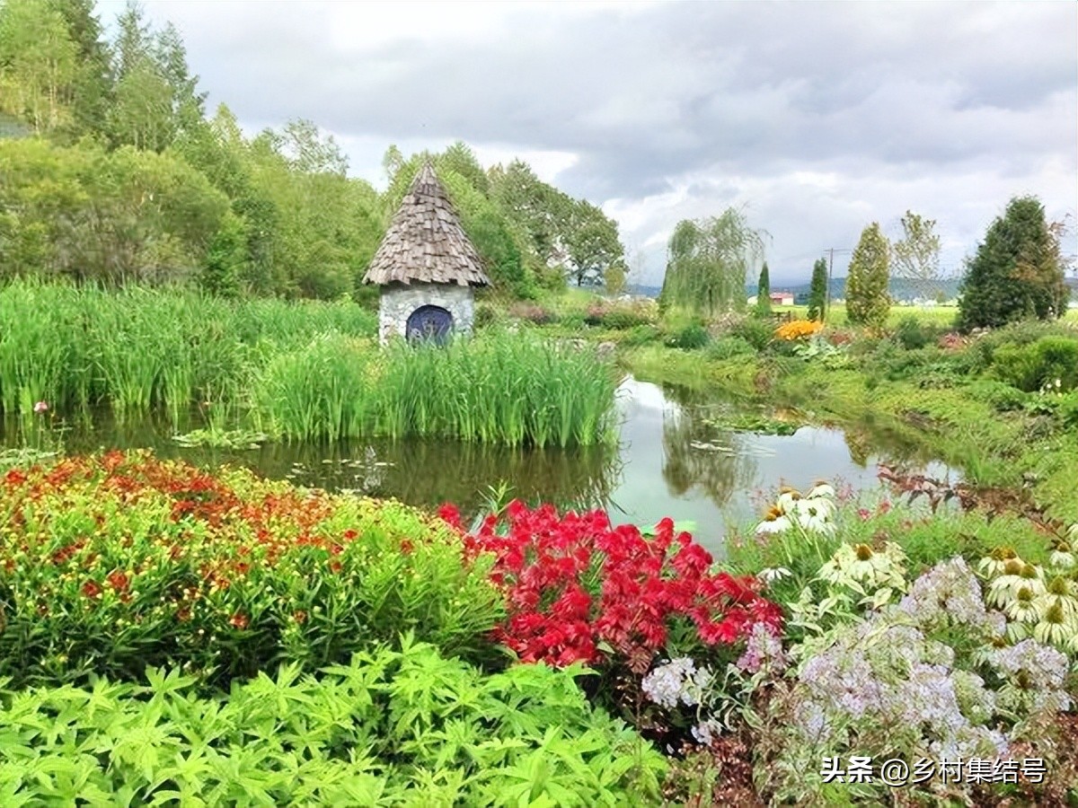 北海道上野农场,日本北海道上野农场