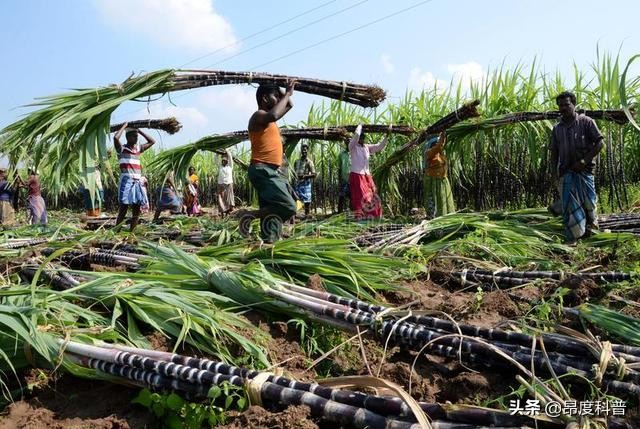 印度无子宫妇女村,印度为怀孕6个月女子剖腹