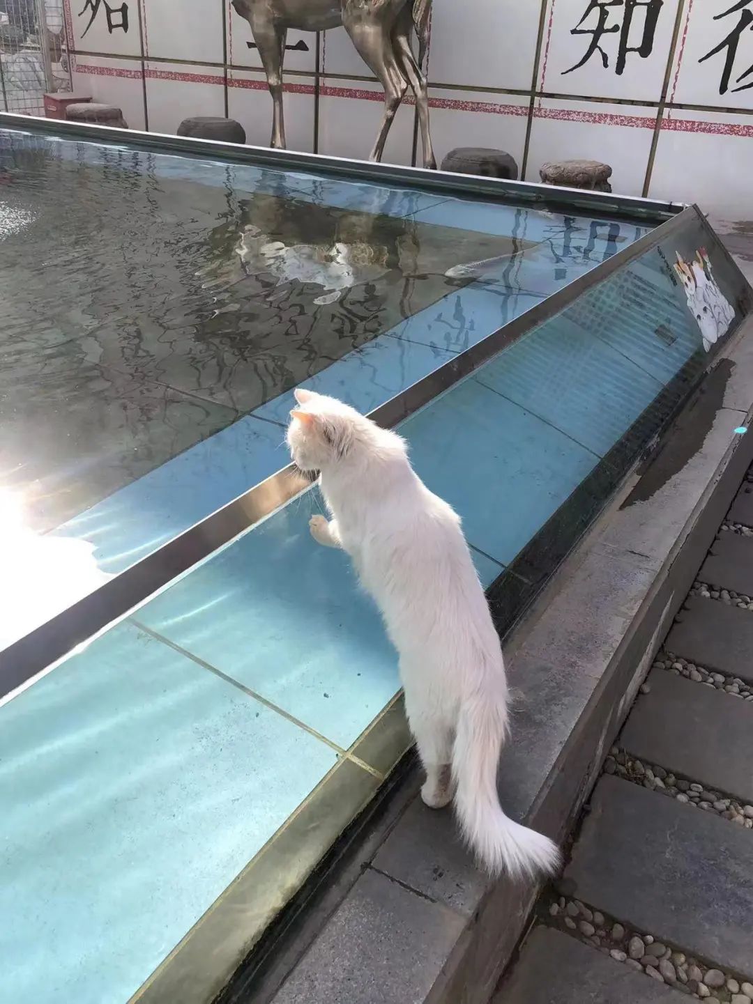 赵明明：上班摸鱼，是我的梦想!