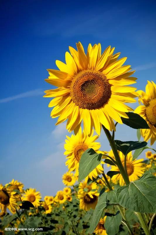 哪一本是最好的练习册,10本练习册推荐