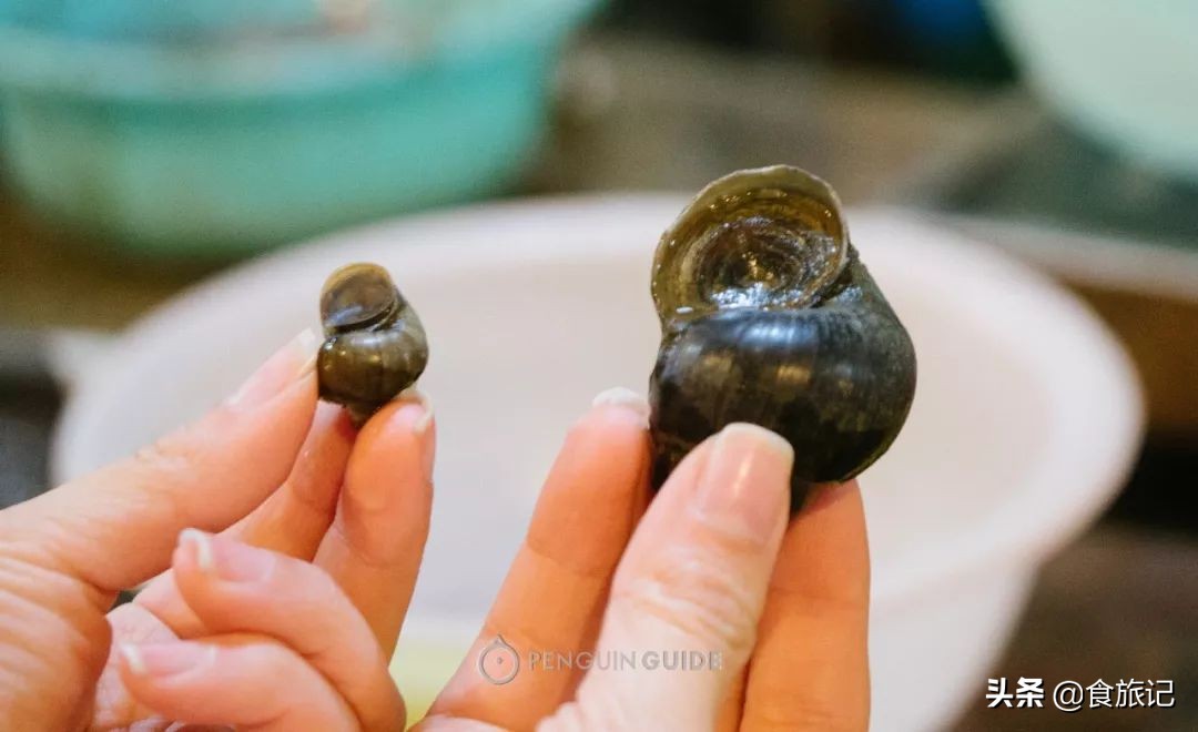 春游地点推荐省钱攻略,春游攻略正当时