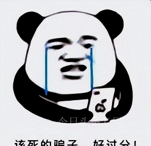 女子炒币被诈骗50万,女子炒期货亏本