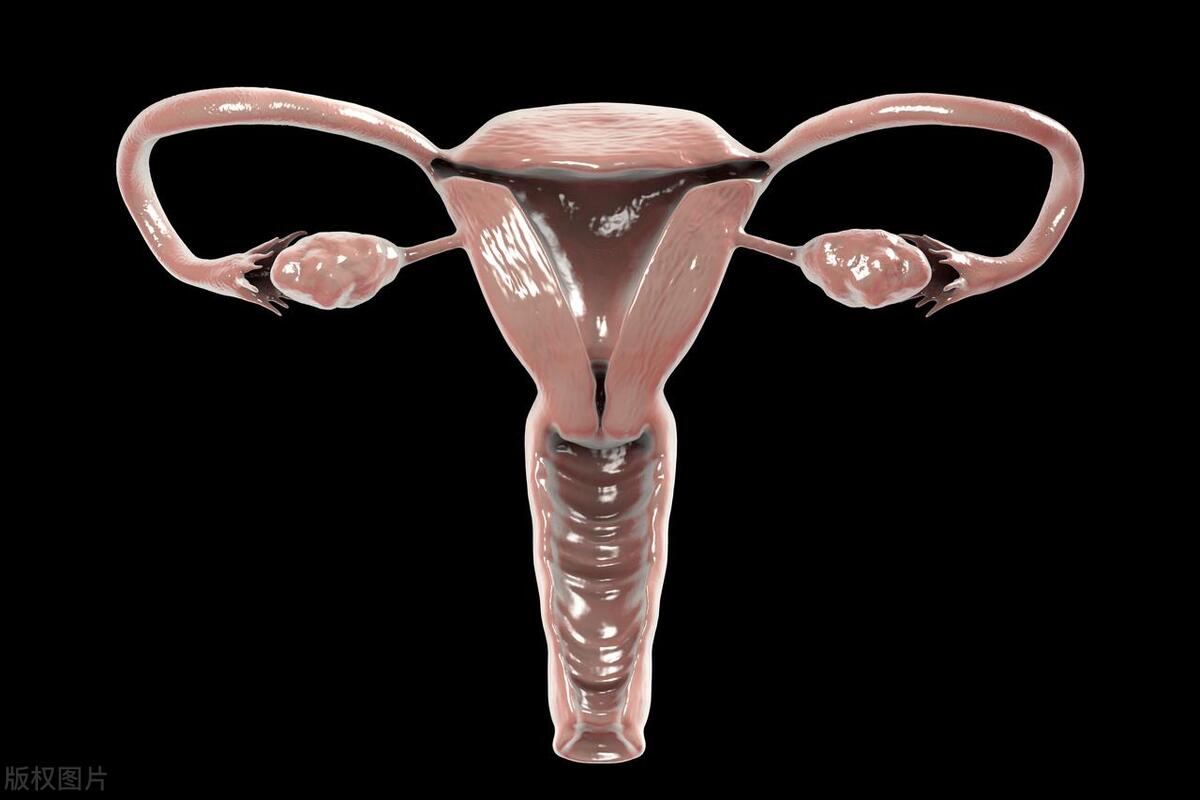 女人巨阴症是什么病,女性巨阴症可以治疗吗