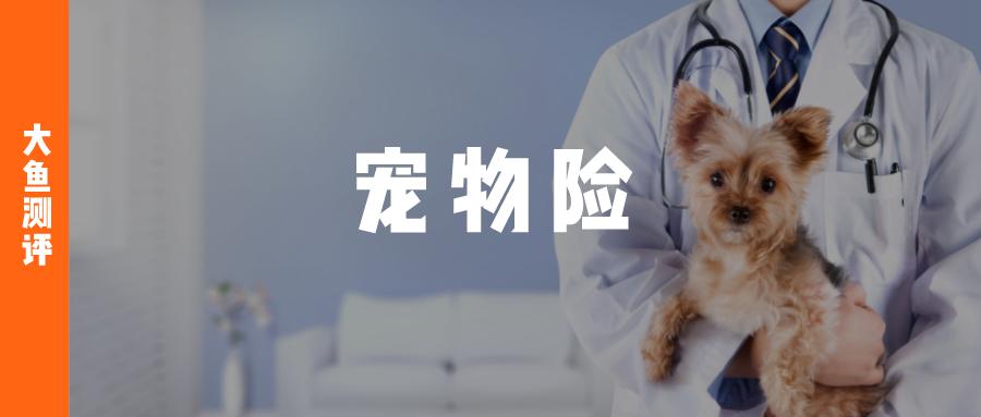 哪个宠物险好,宠物险哪些可以理赔