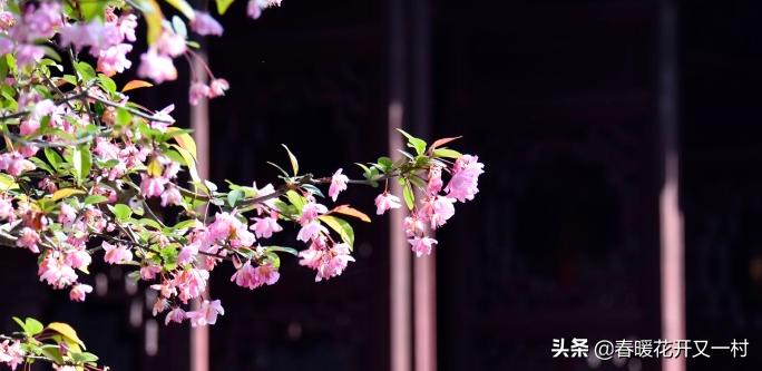 苏州园林春天哪月份去比较好,九月份的苏州园林