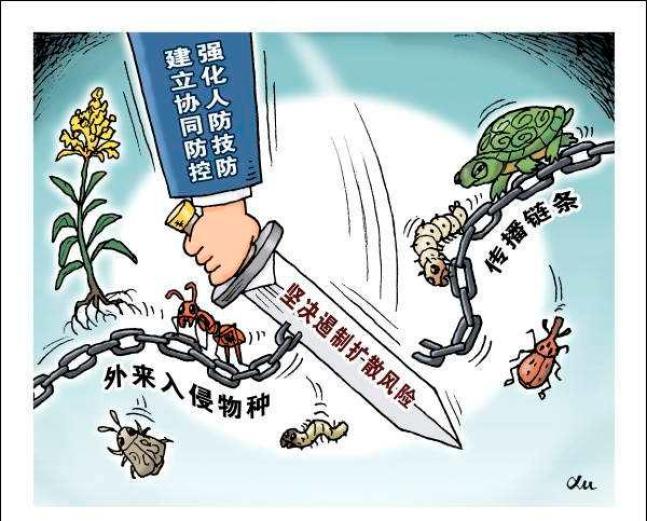 美国不明物种入侵了吗,美国物种入侵中国