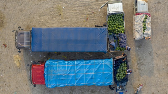 做饼干食品批发新手怎么入行,饼干批发一手货源摆摊