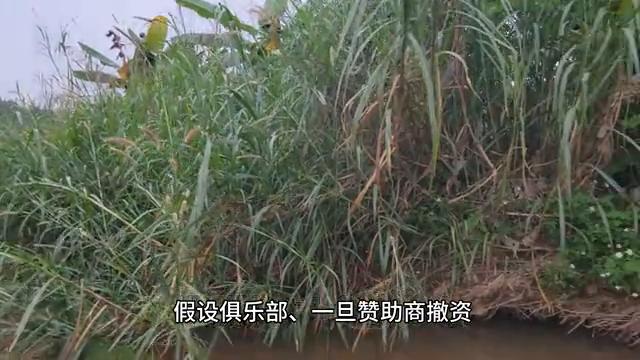 埃及金字塔是用浮力建造的,埃及金字塔是混凝土做的吗