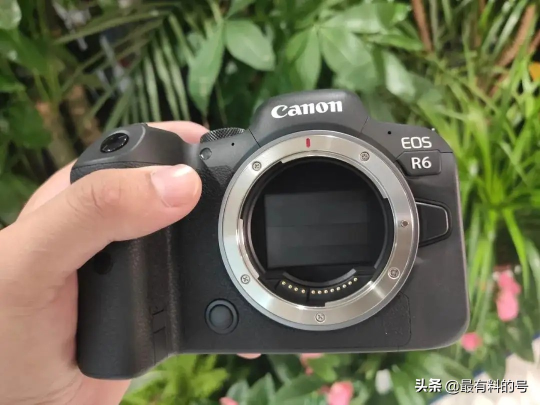 佳能r10和佳能r6一代哪个值得买,佳能微单r10和r7的最大区别