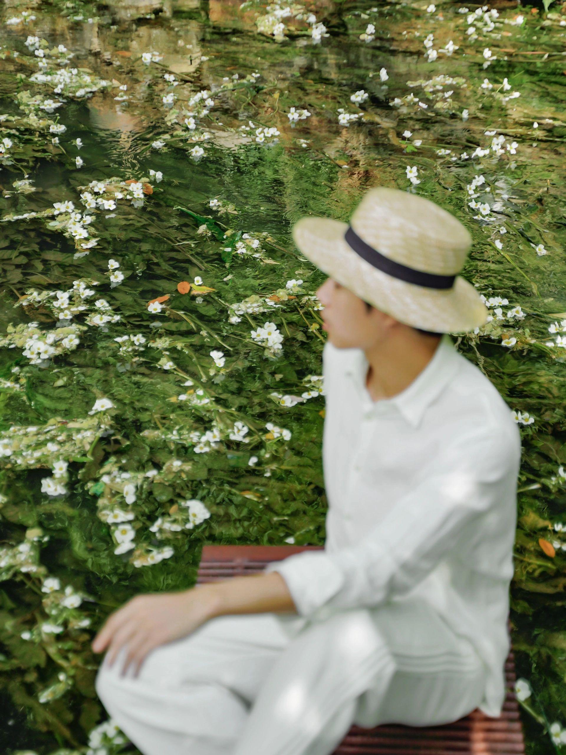 水上莫奈花园,昆明莫奈的花园美爆了