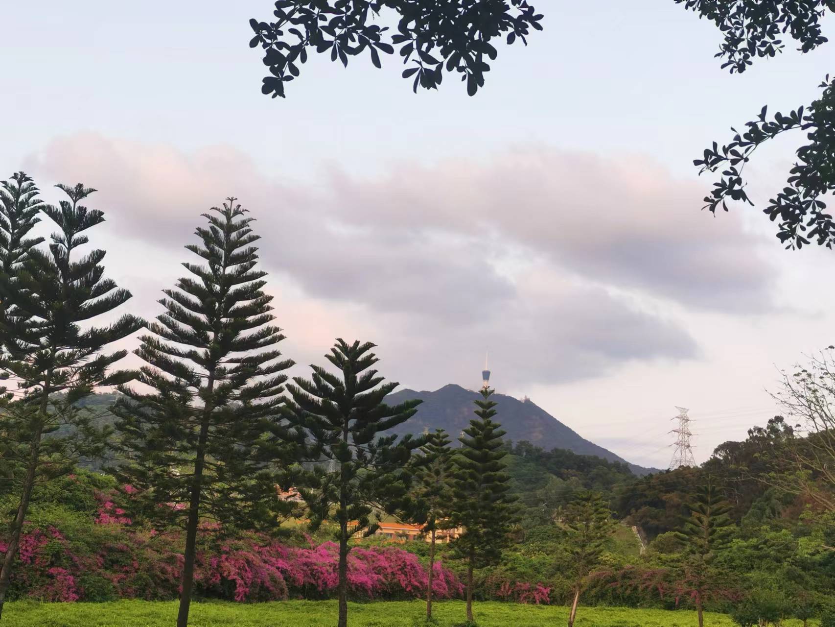 福利彩票造假事件结果,彩票作假案件有没有人管